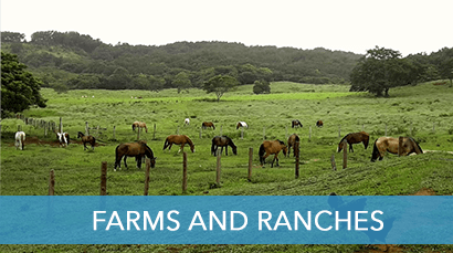 Farms and Ranches for sale In Costa Rica